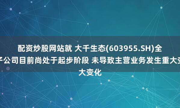配资炒股网站就 大千生态(603955.SH)全资子公司目前尚处于起步阶段 未导致主营业务发生重大变化